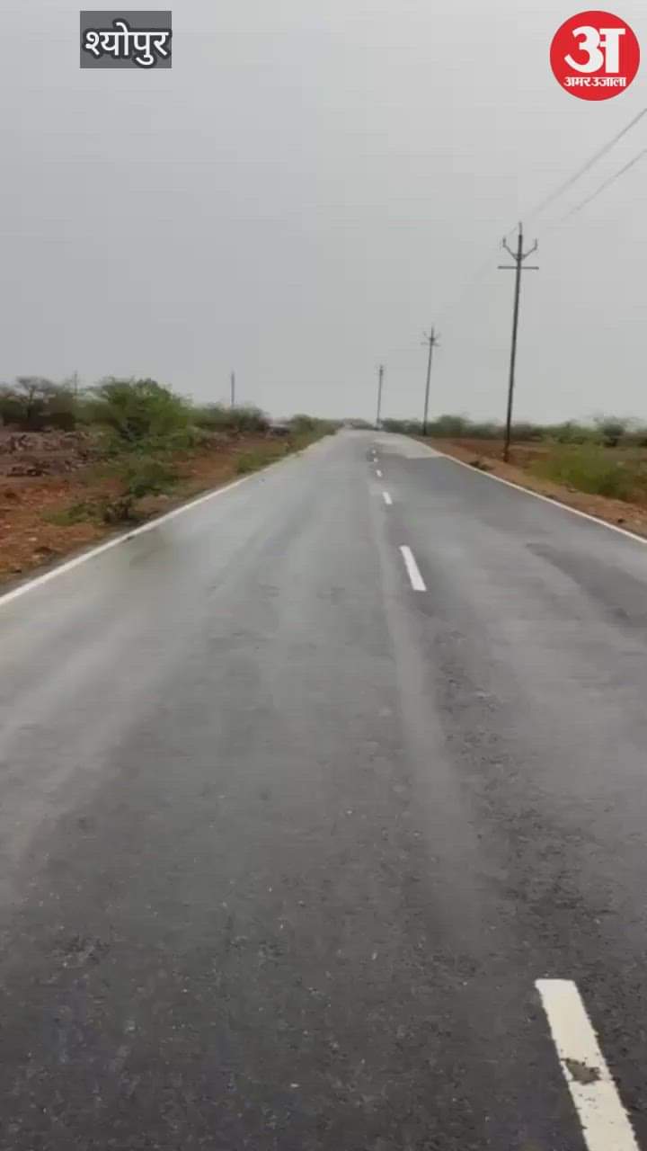 Five leopards came out of Kuno National Park villagers panicked when saw leopards