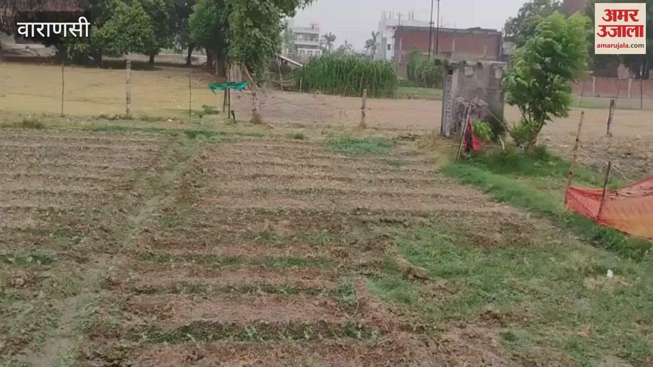 Drizzle with wind in Sarnath Varanasi see VIDEO