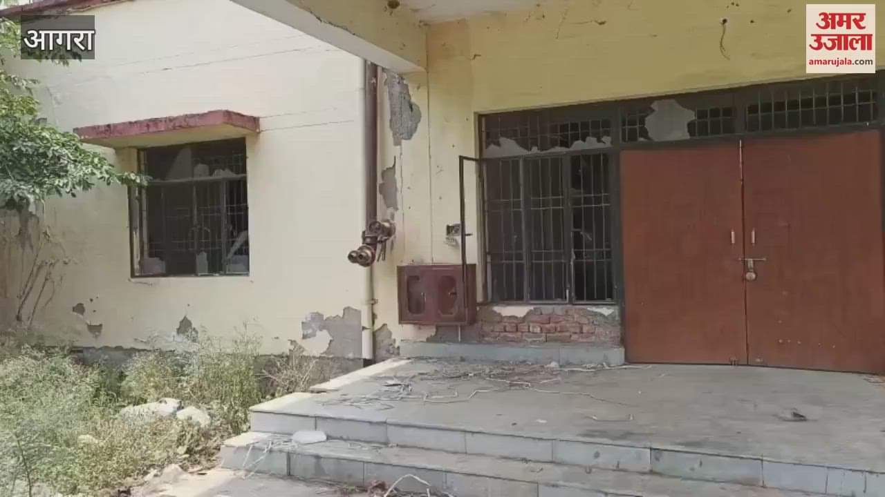 Veterinary polyclinic turned into ruins