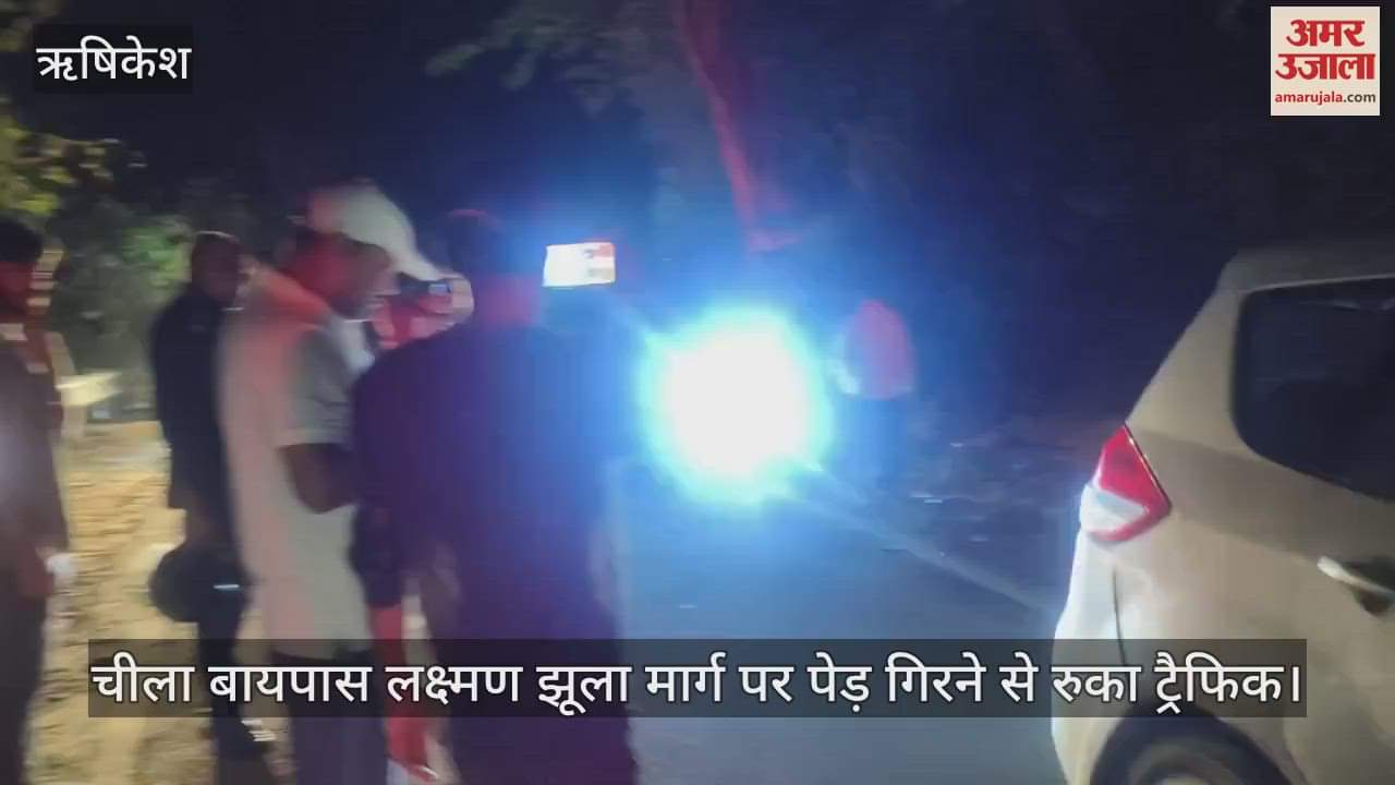 Rishikesh: Traffic halted due to falling of tree on Cheela bypass Laxman Jhula road, passengers troubled