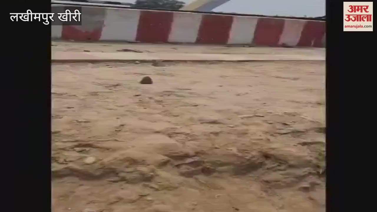 Youth arrested for jumping into canal from railway bridge in Lakhimpur Kheri