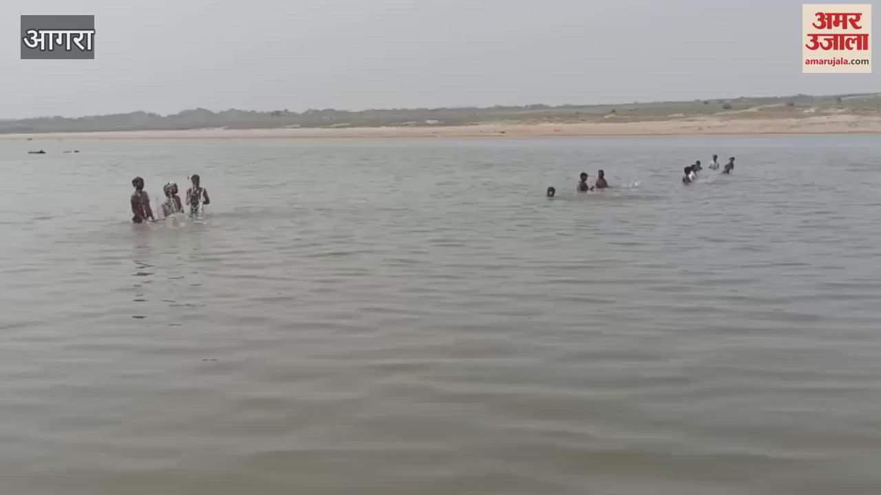 Crocodile dragged a woman giving water to animals into Chambal river