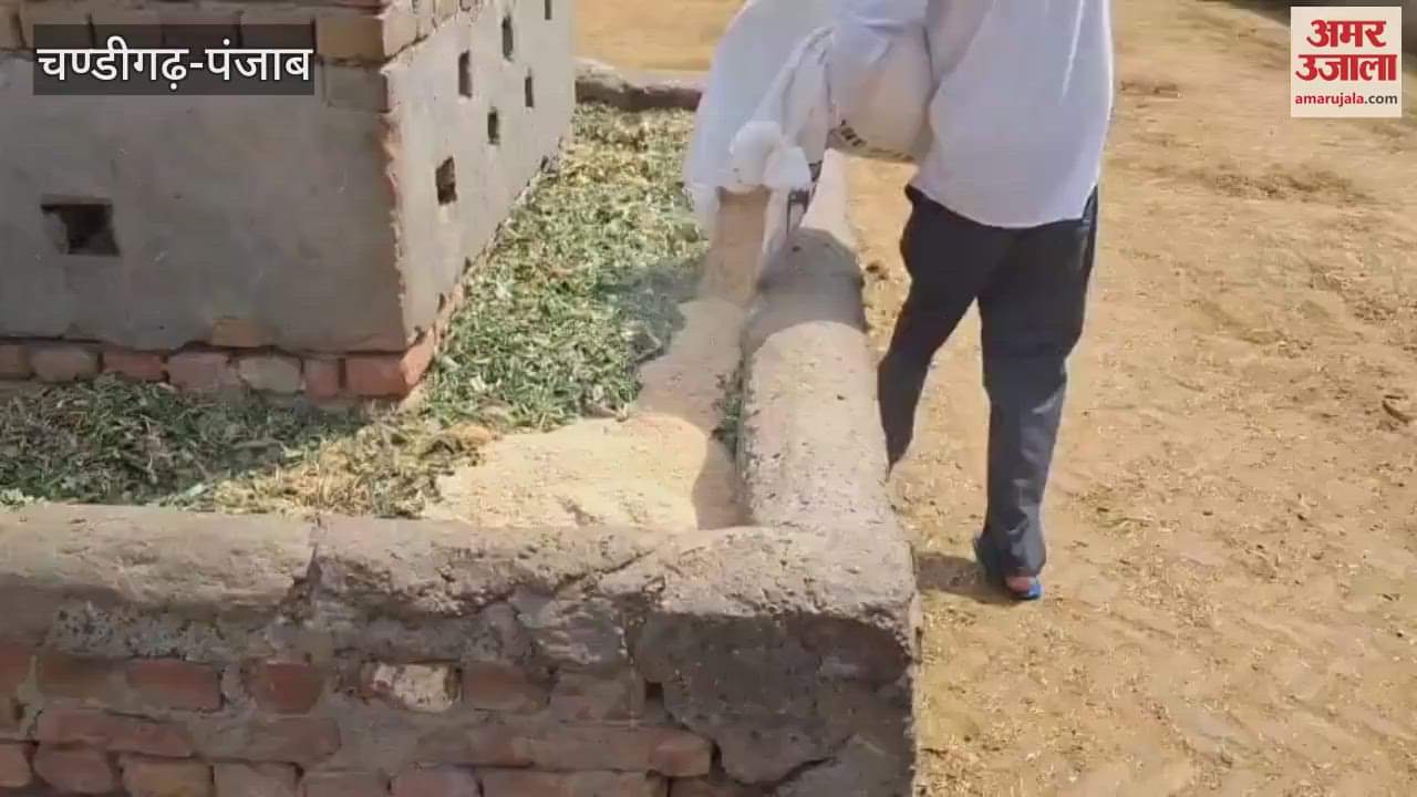 Birthday celebrated by giving food items to Guruharsahayi Gaushala