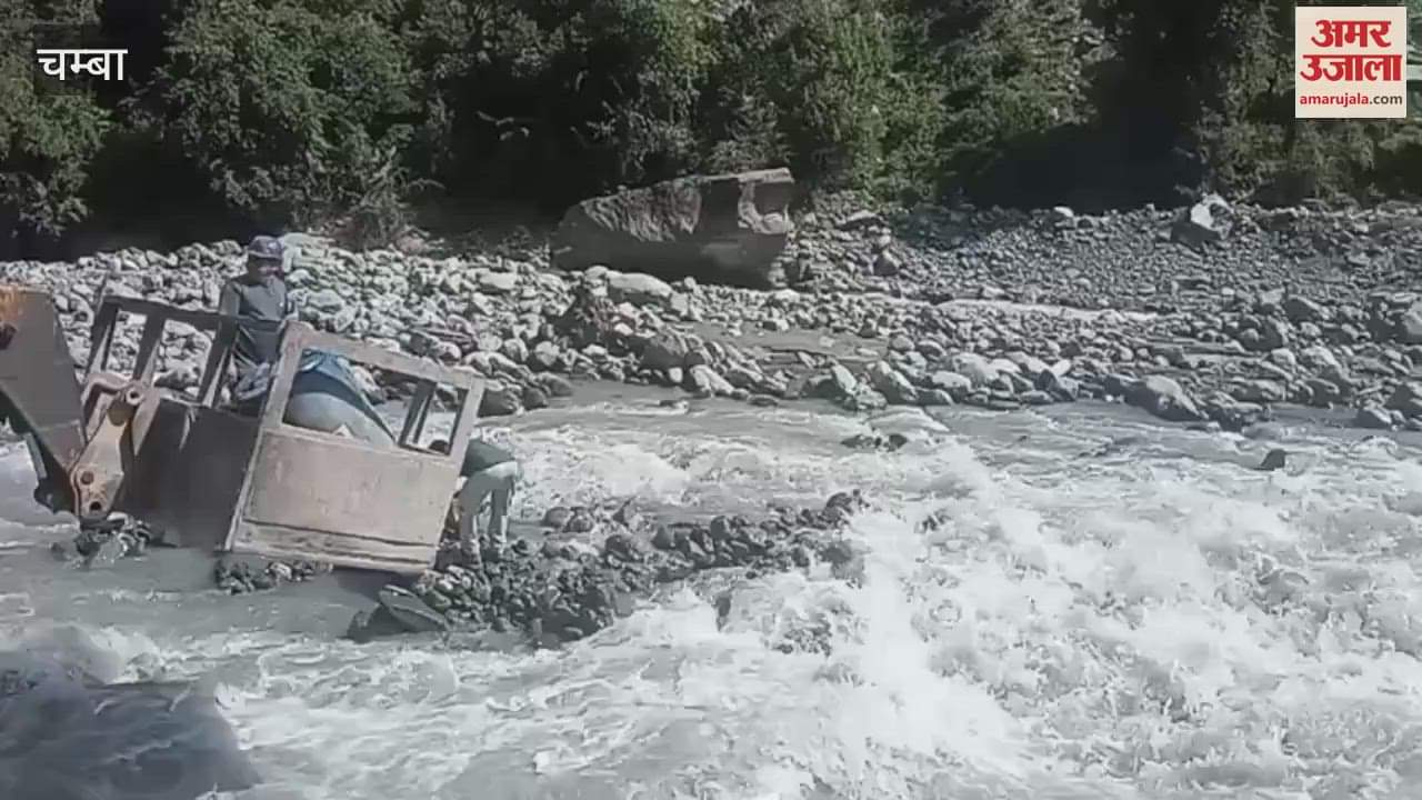 Chamba Dog was stuck in Chanju drain for several hours this is how it was successfully rescued