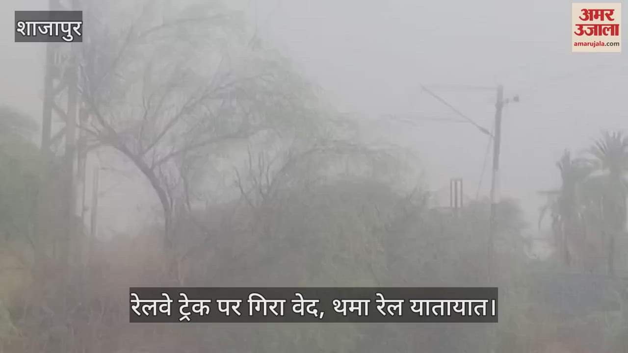 Tree fell on railway track, passenger train stood in the forest for one and a half hours