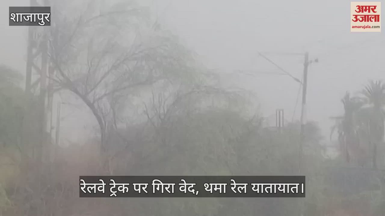 Tree fell on railway track, passenger train stood in the forest for one and a half hours
