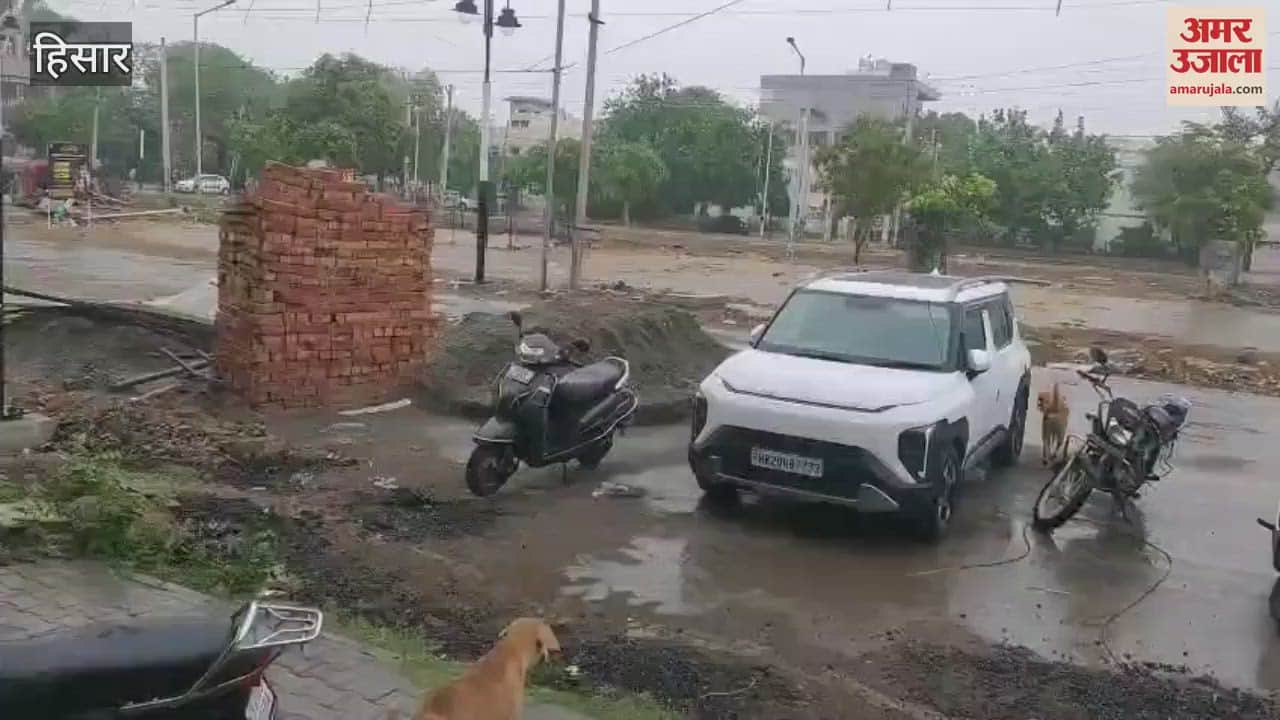 Rain in hisar relief from heat