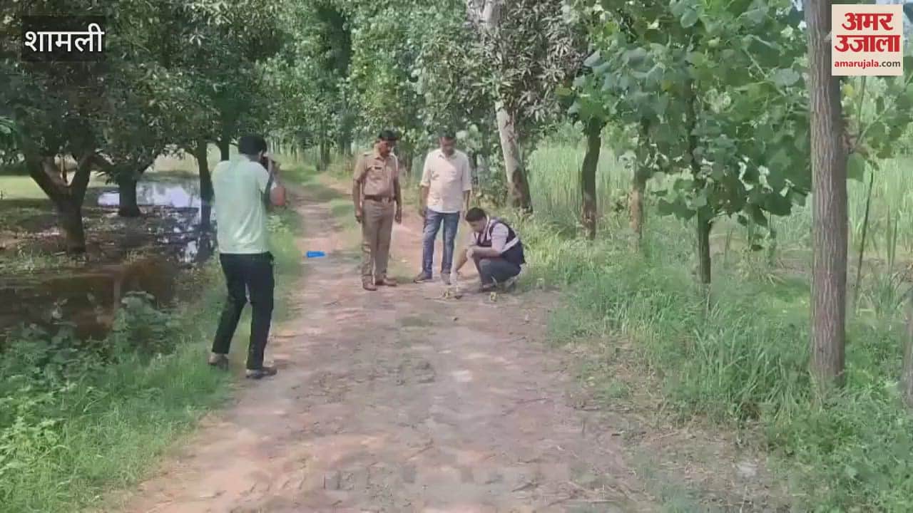 Farmer was shot dead in Kairana, Shamli, incident took place while he was going to the farm