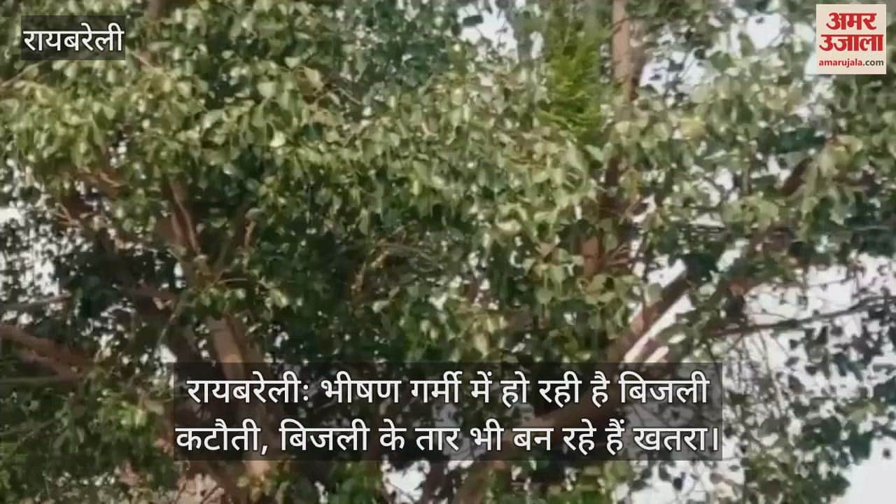रायबरेलीः भीषण गर्मी में हो रही है बिजली कटौती, बिजली के तार भी बन रहे हैं खतरा