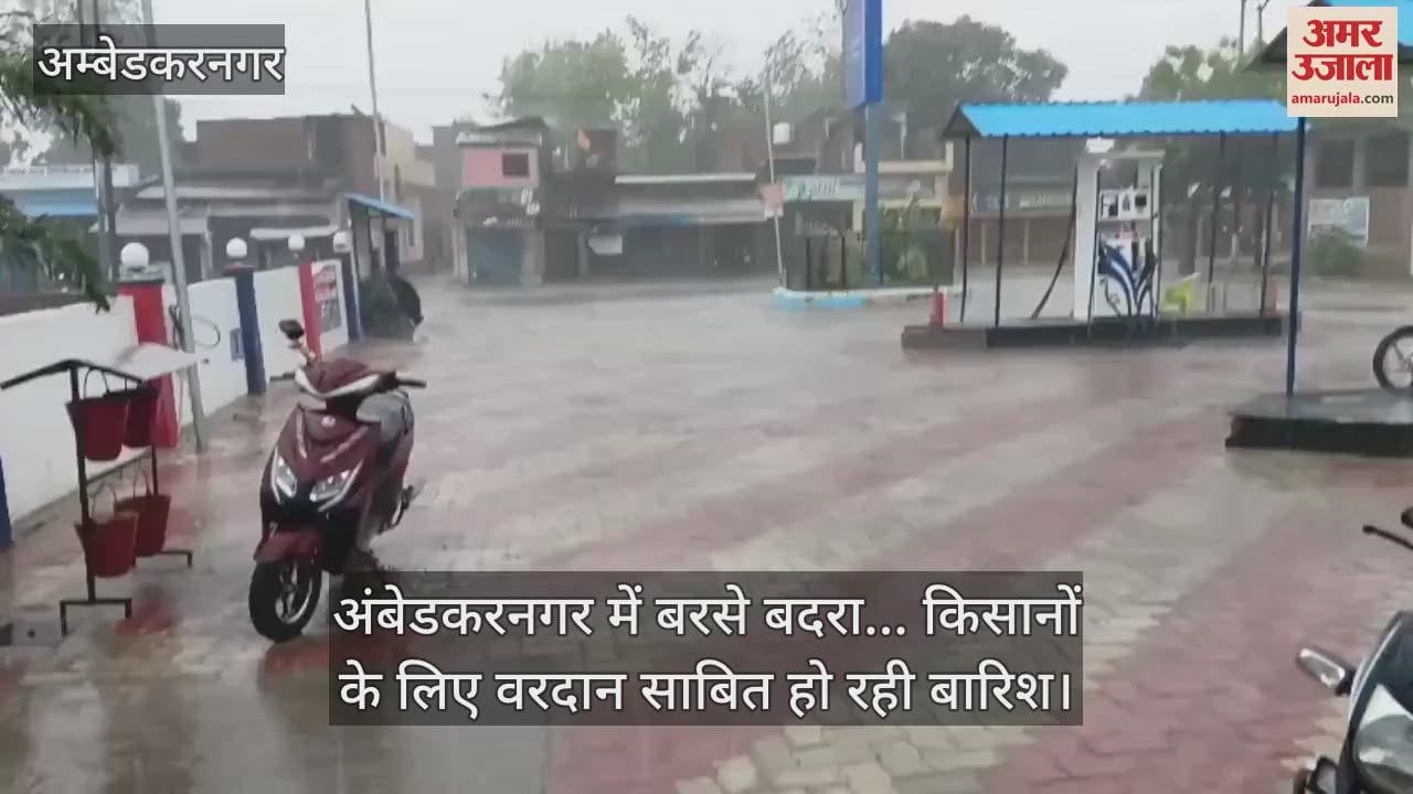 अंबेडकरनगर में बरसे बदरा... किसानों के लिए वरदान साबित हो रही बारिश