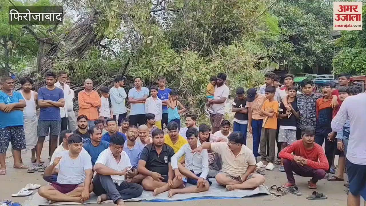 Banyan tree fell during the digging of the drain, electricity was cut for hours, people sat on dharna