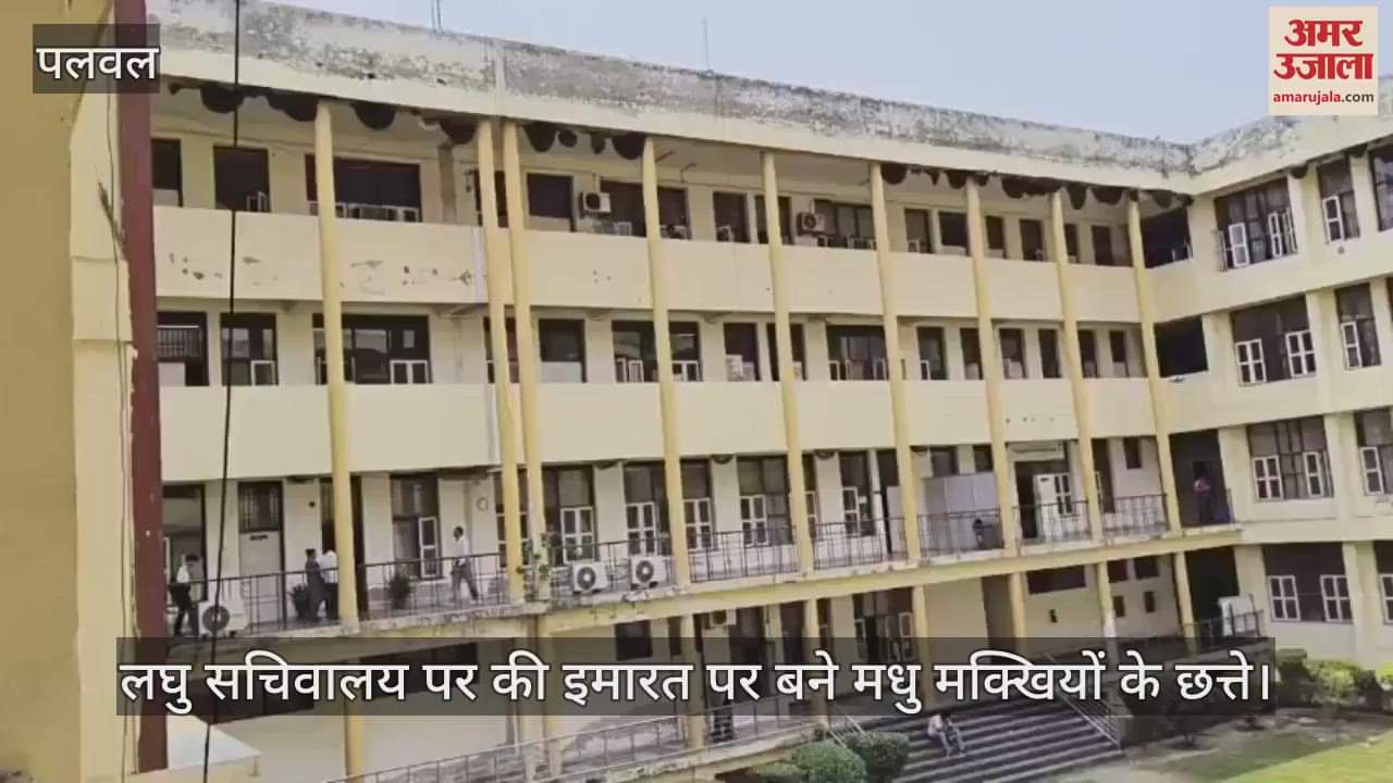 threat of bees remain in Palwal Mini Secretariat