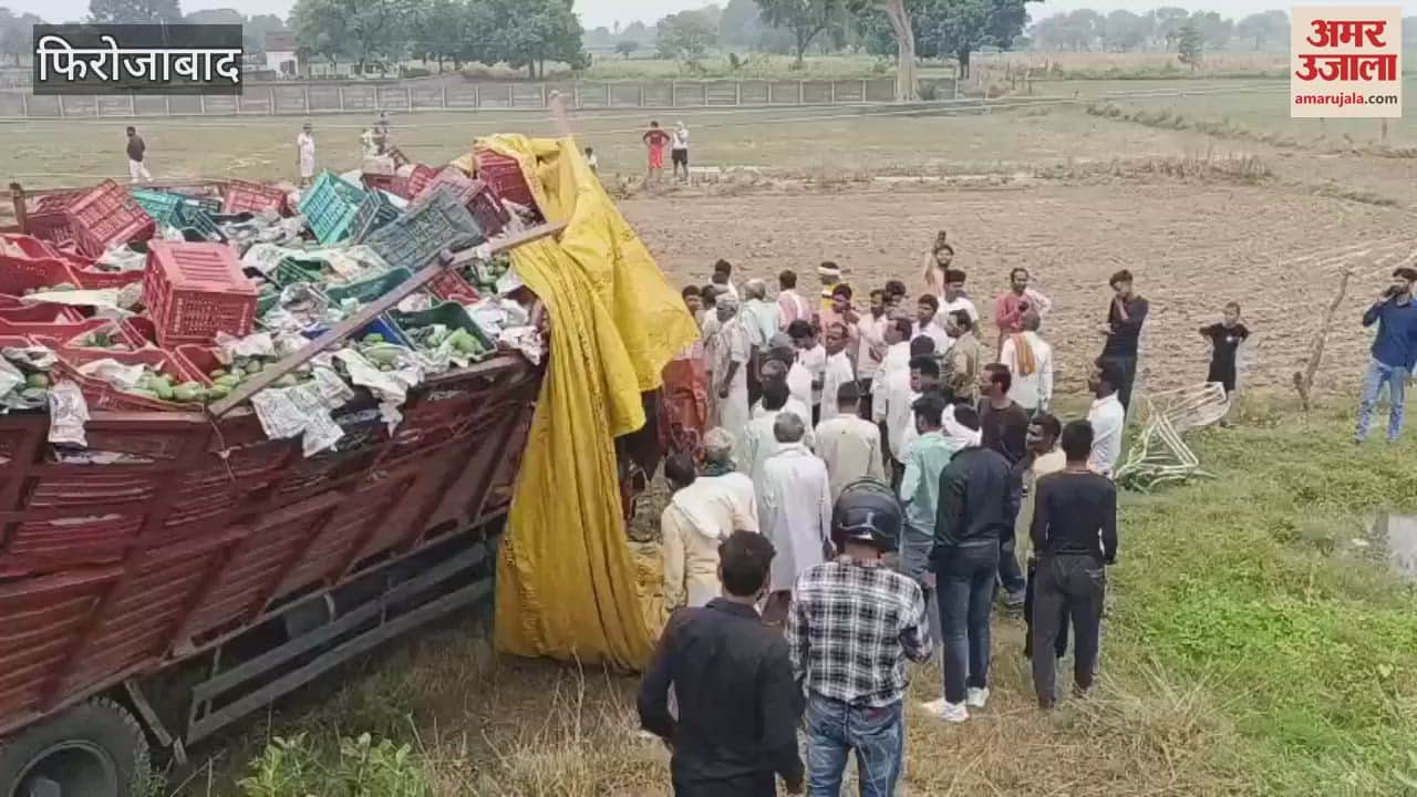 DCM loaded with mangoes overturned in Firozabad, driver died; one injured