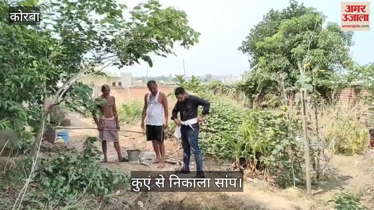 A six feet long snake fell in a well was seen while taking out water was rescued