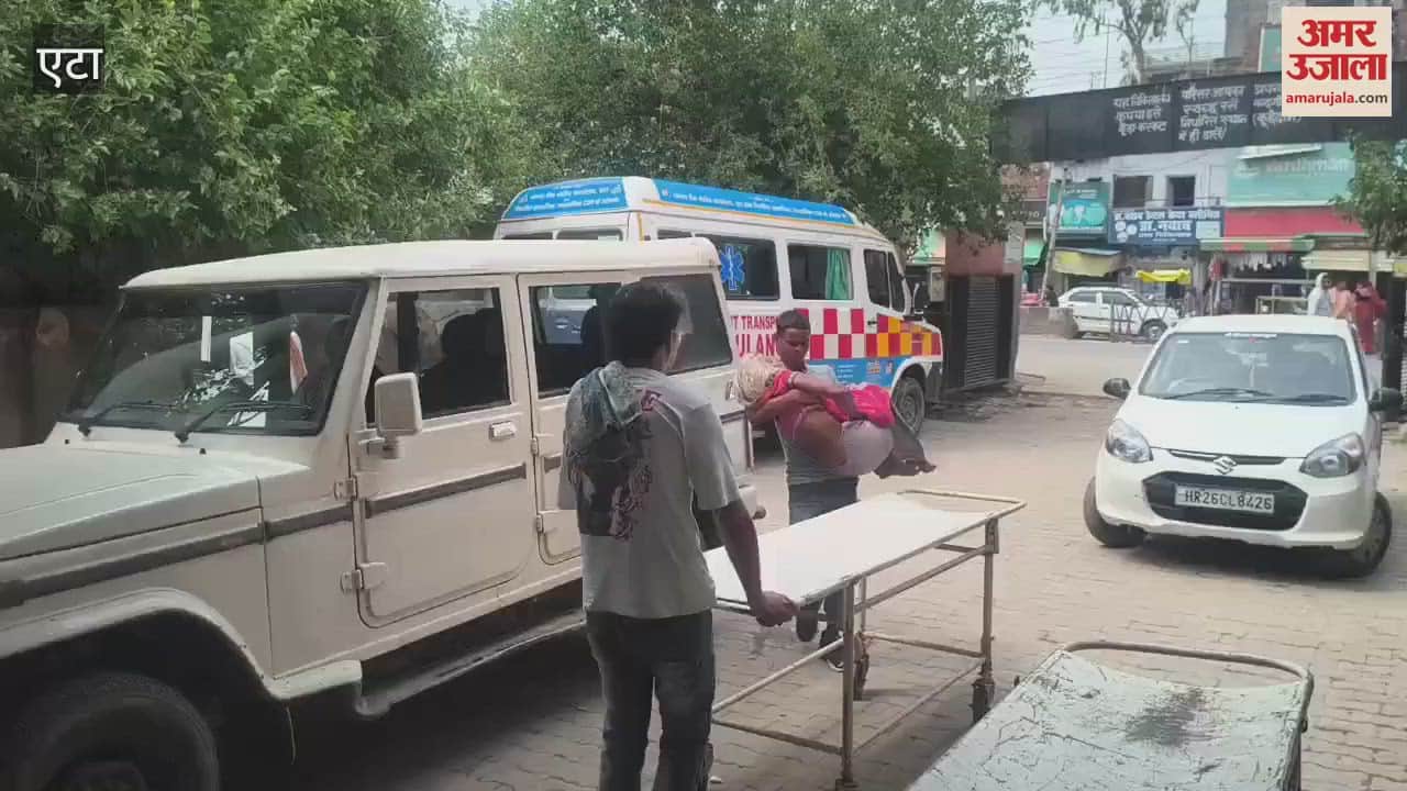 Cases of snake bites increased during rainy season