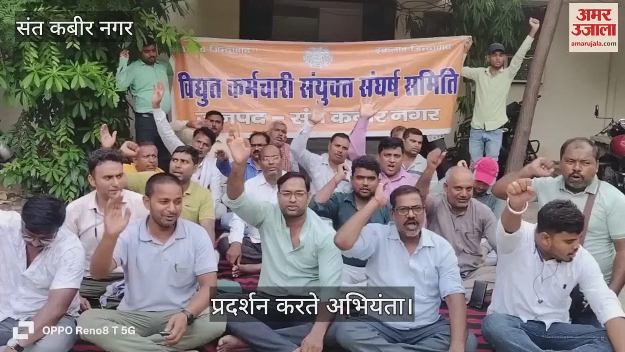 Electricity workers staged a sit-in protest against privatisation