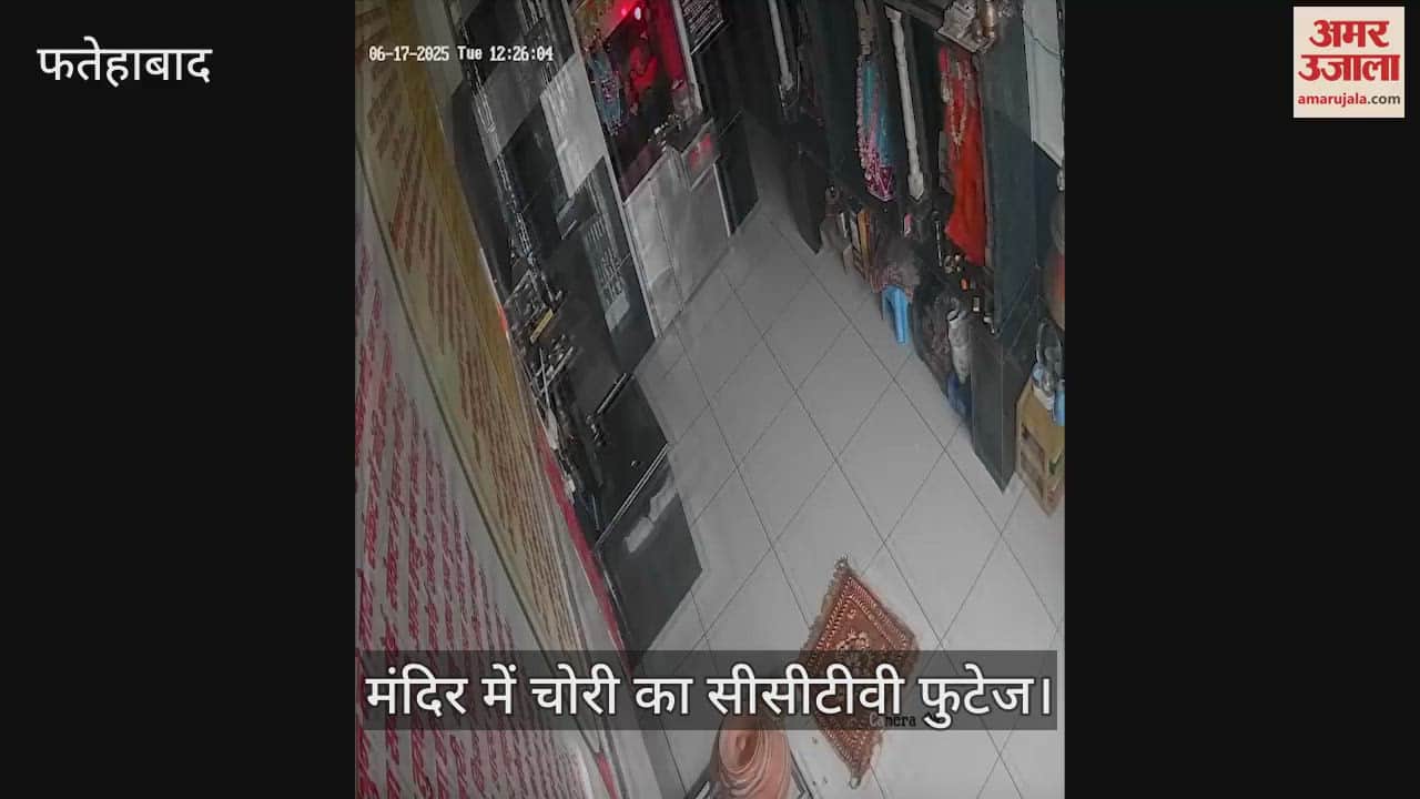 theft in temple at Fatehabad