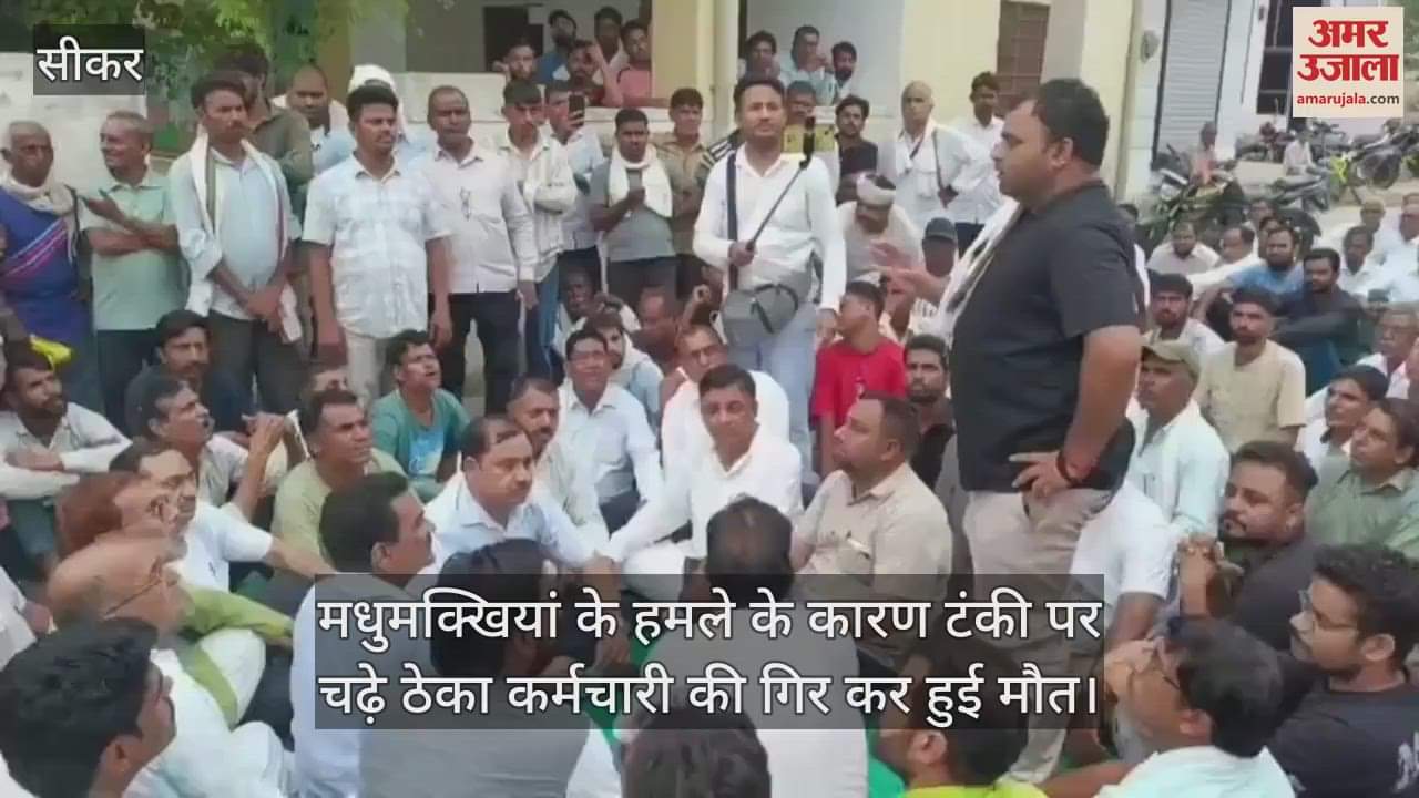 Youth Dies After Falling from Tank Due to Bee Attack