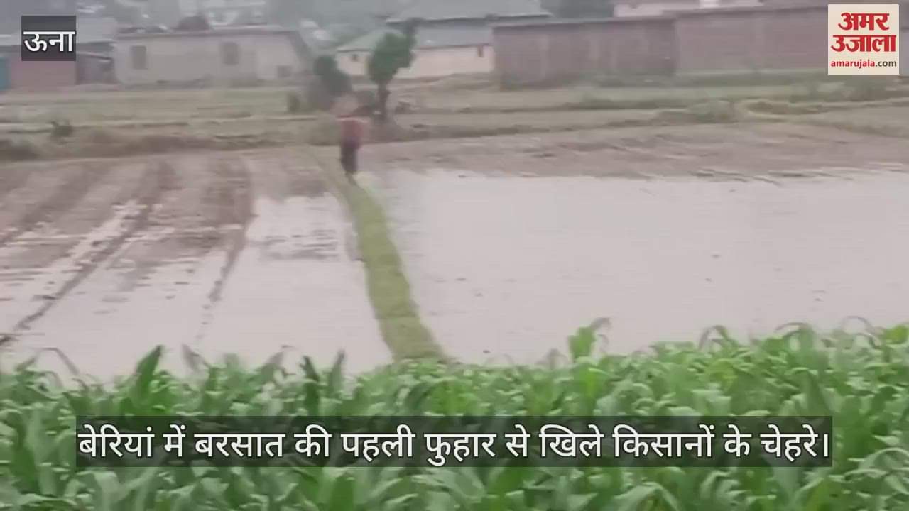 The first shower of rain in Beriya brought smiles on the faces of farmer