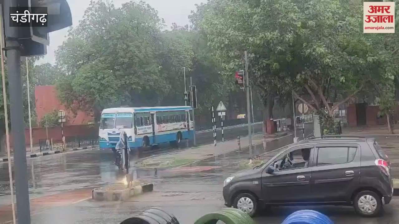 Weather became pleasant due to drizzle in Chandigarh