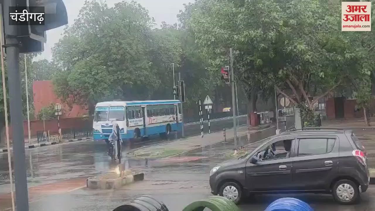Weather became pleasant due to drizzle in Chandigarh