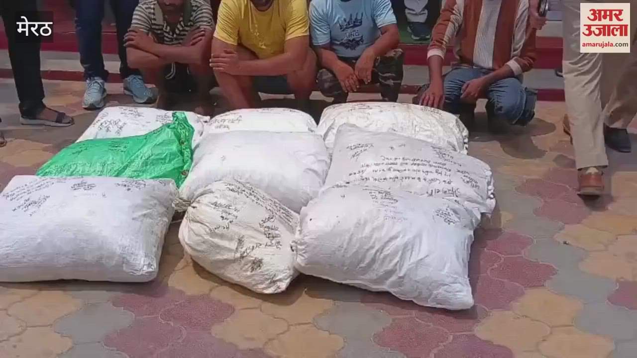 Meerut: Narcotics department and police station seized ganja worth Rs 62 lakh in Mawana Khurd