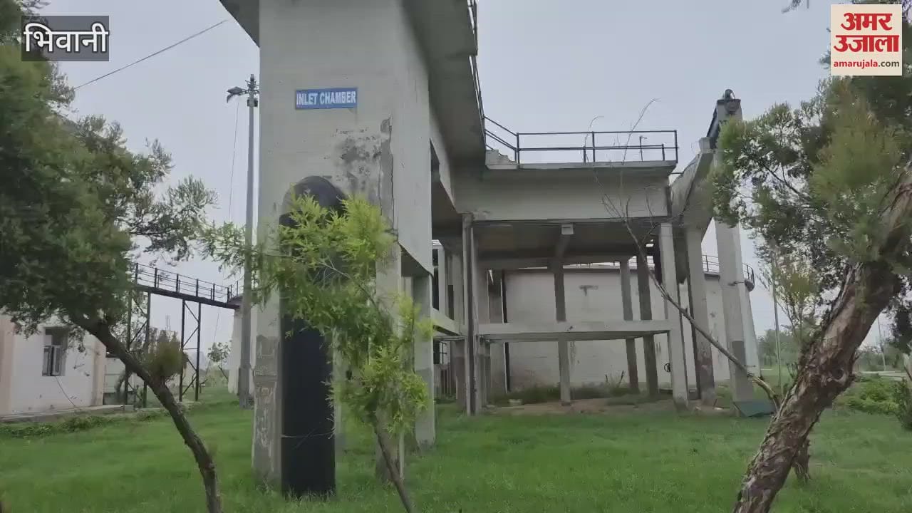 Dirty water in Sector 13 and 23 of Bhiwani Sewerage Treatment Plant