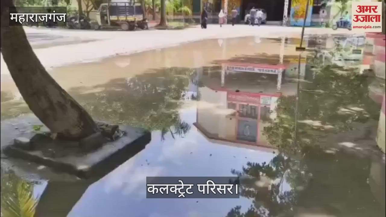 The collectorate premises were filled with water due to light rain