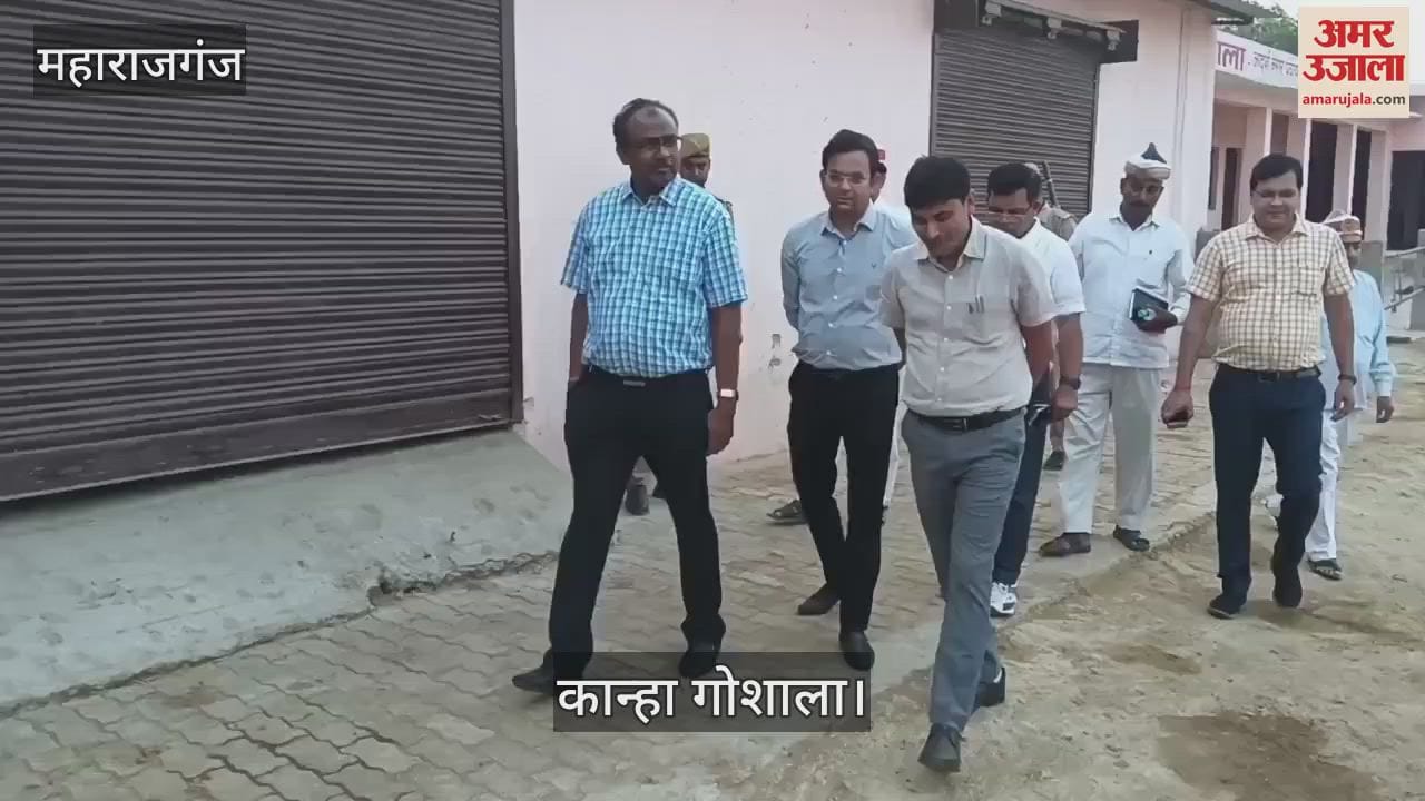 DM inspected Kanha Gaushala and gave instructions