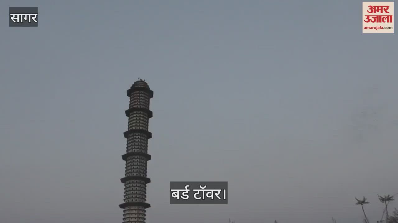 A multi-storeyed house built for birds in Sagar, 2500 birds can live in this bird house