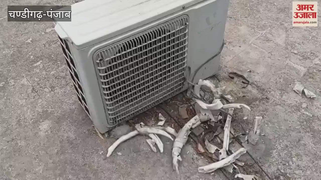 theft AC copper pipe in Sultanpur lodhi court complex