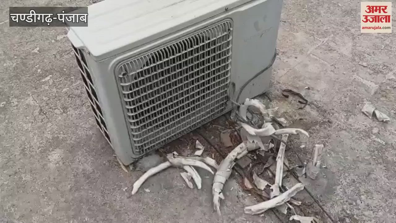 theft AC copper pipe in Sultanpur lodhi court complex