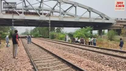 10 cattle died after being hit by Jan Shatabdi Express in Sonipat