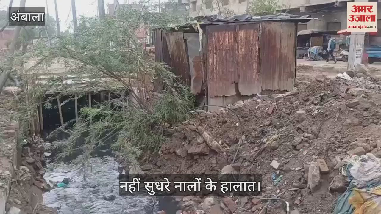 dirt in drains