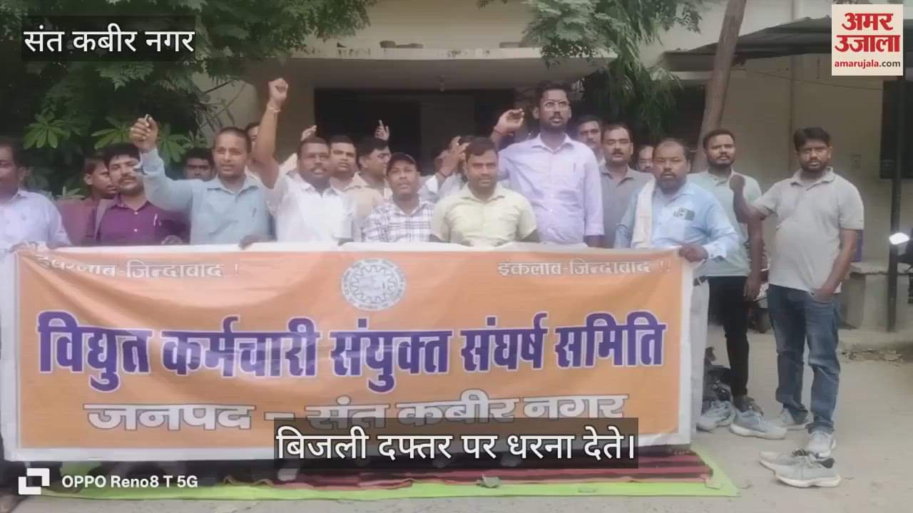 Electricity workers staged a sit-in protest against privatisation