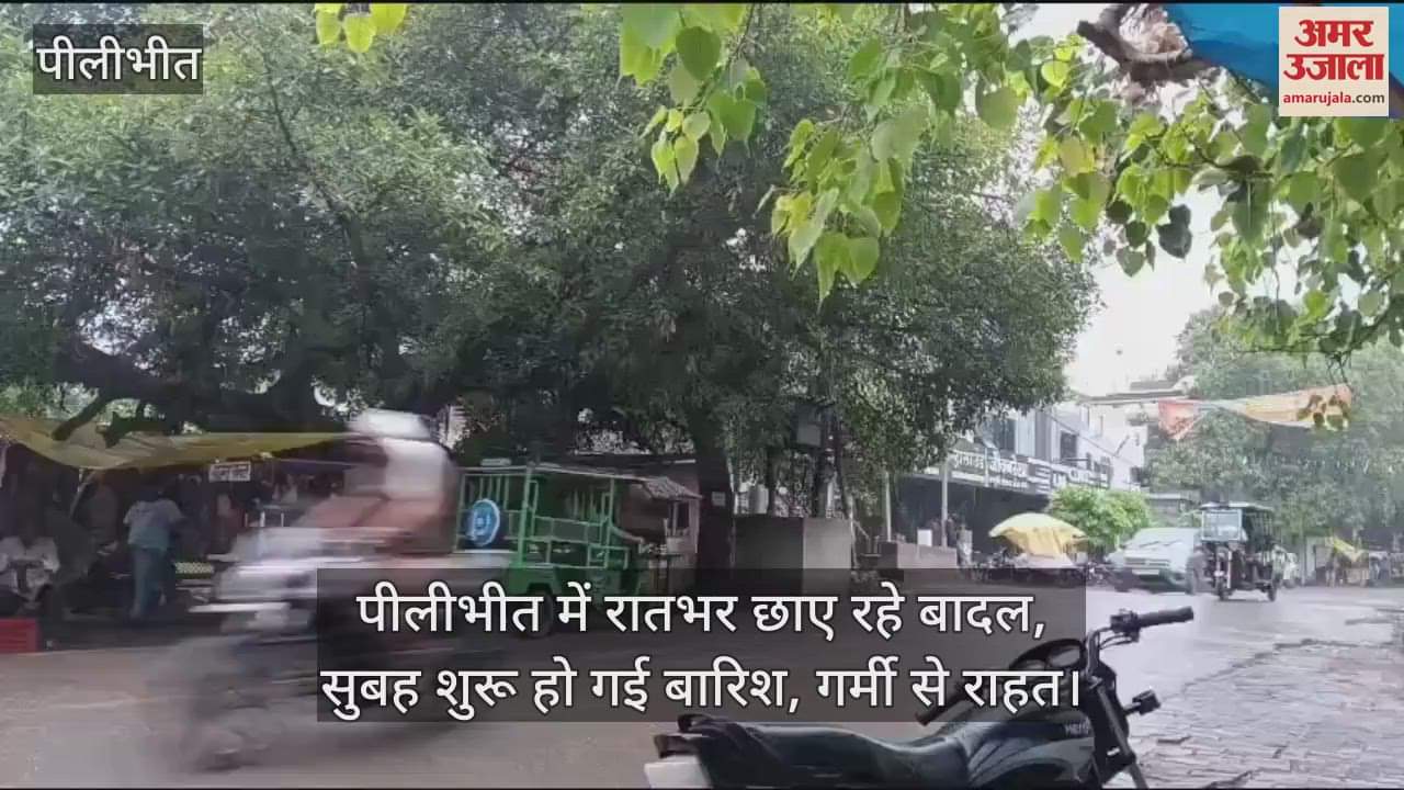 rain started in the morning in Pilibhit