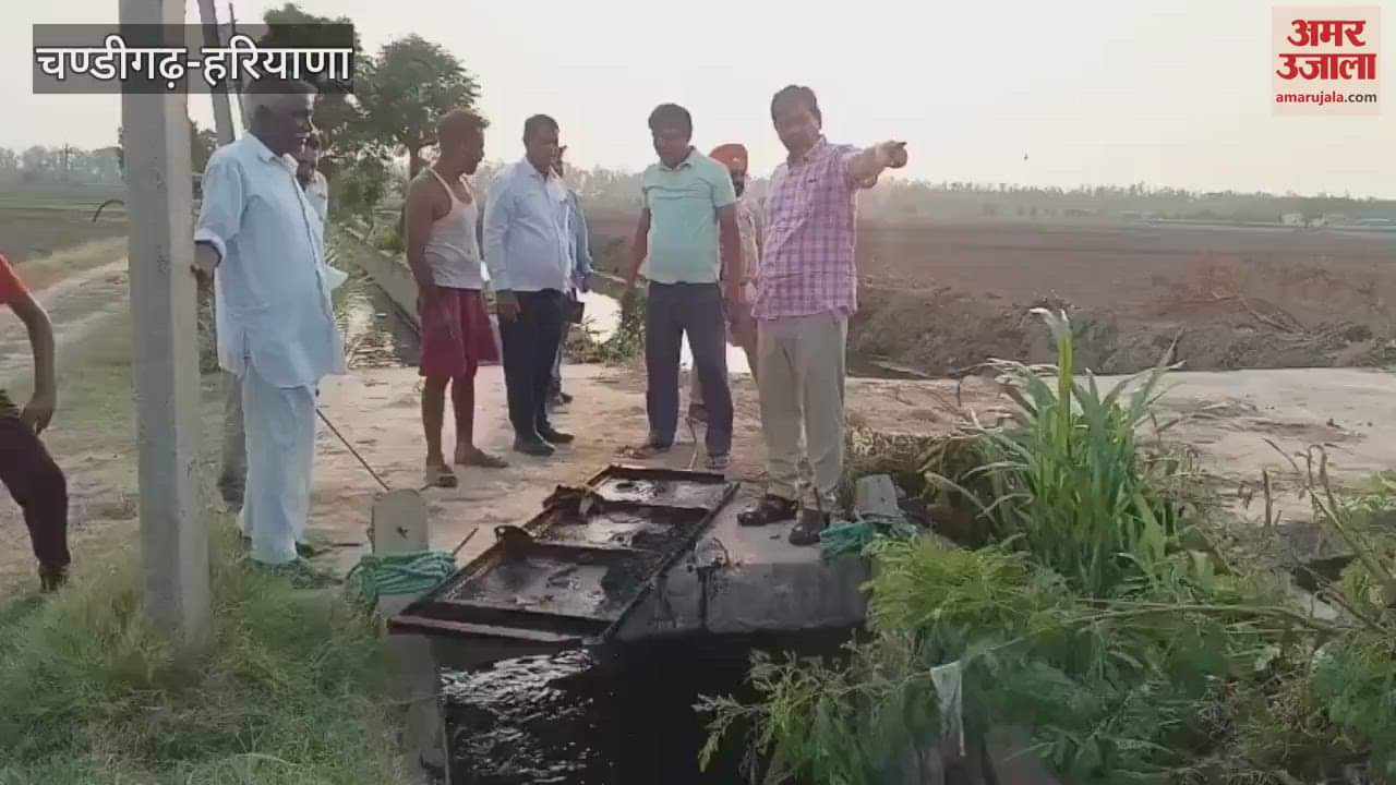 Saraswati Board Vice President Dhuman Singh Kirmach gave instructions to the Irrigation Department regarding Saraswati River