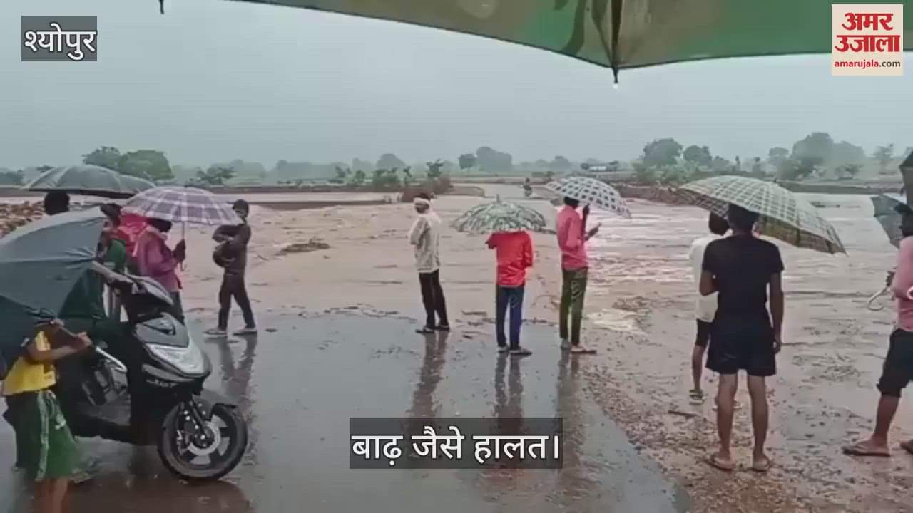 River in spate due to heavy rain in Sheopur, 7 villages cut off from communication