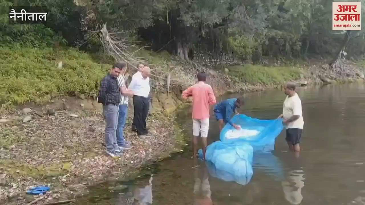 20 thousand Mahseer and Silver Carp released in Naini Lake