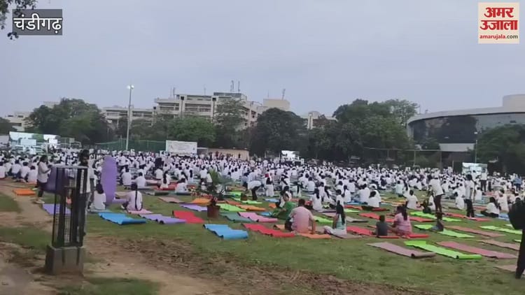 International Yoga Day Celebrated At Chandigarh Pgi – Amar Ujala Hindi News Live