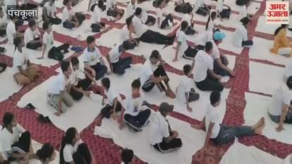 On International Yoga Day, a program was organized in the Red Bishop Convention Hall of Panchkula Sector 1