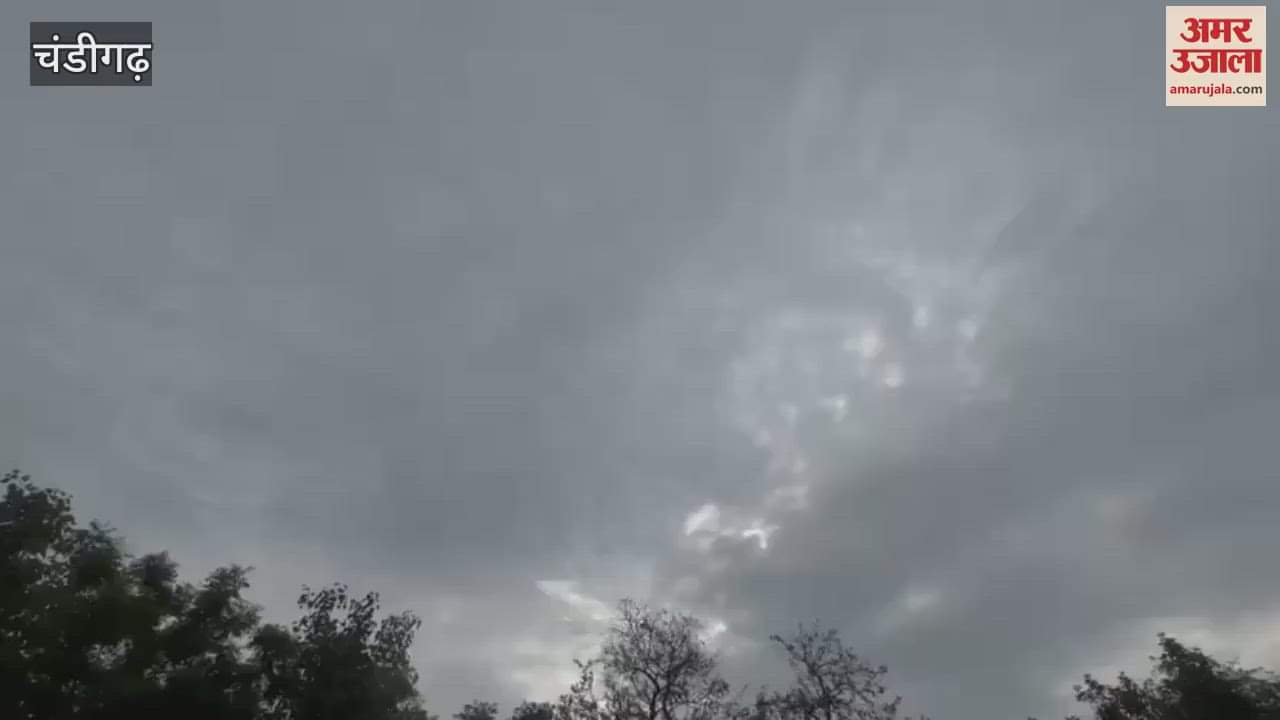 Yoga was performed at the Rock Garden in Chandigarh