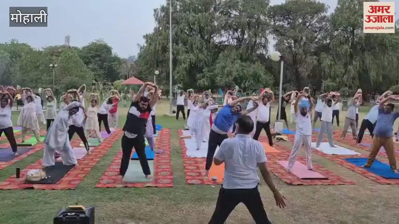 Yoga was performed in the Rose Garden on International Yoga Day in Mohali