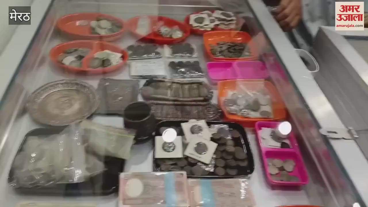 Meerut Currency Festival: A treasure of old coins was seen in the currency festival, crowd of buyers sellers