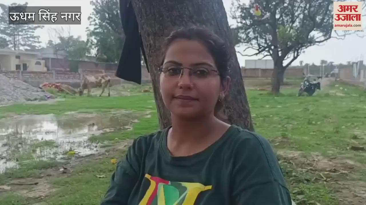 Khwahish cattle shed has been constructed near Chaiti temple