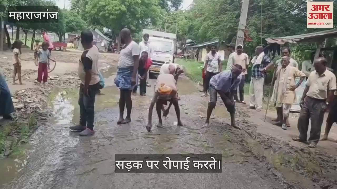 They protested by planting paddy on the road which was damaged for one and a half years