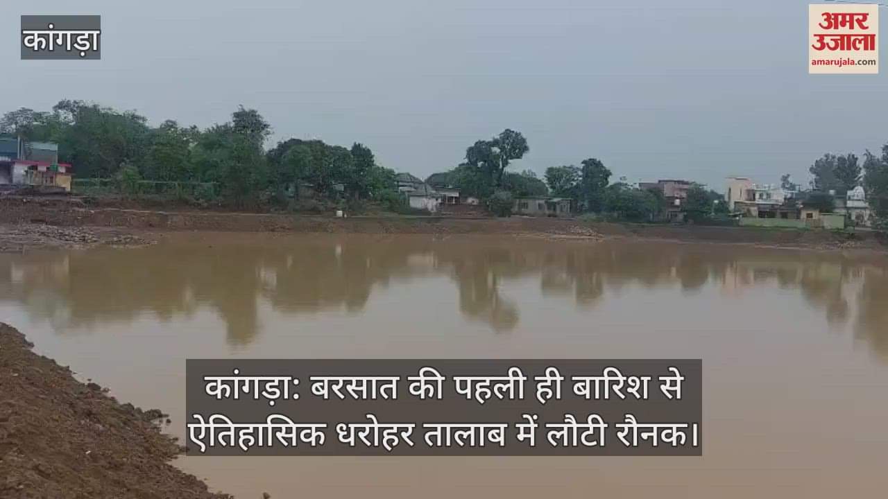 Kangra: The first rain of the monsoon brought back the beauty of the historical heritage pond