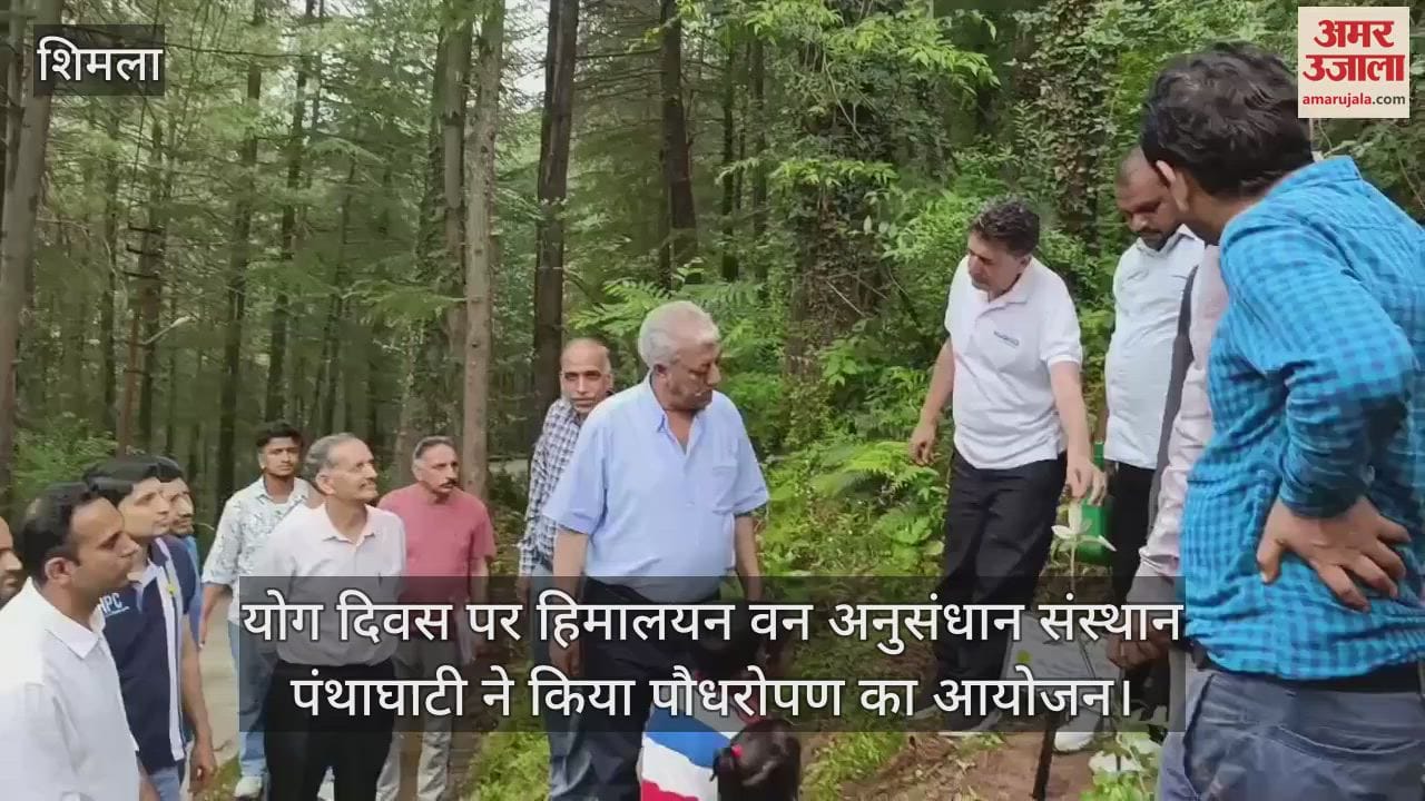 Himalayan Forest Research Institute, Panthaghati organized tree plantation on Yoga Day