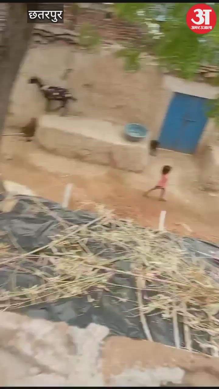 The husband was shot and the wife was kidnapped in public; video of the incident surfaced