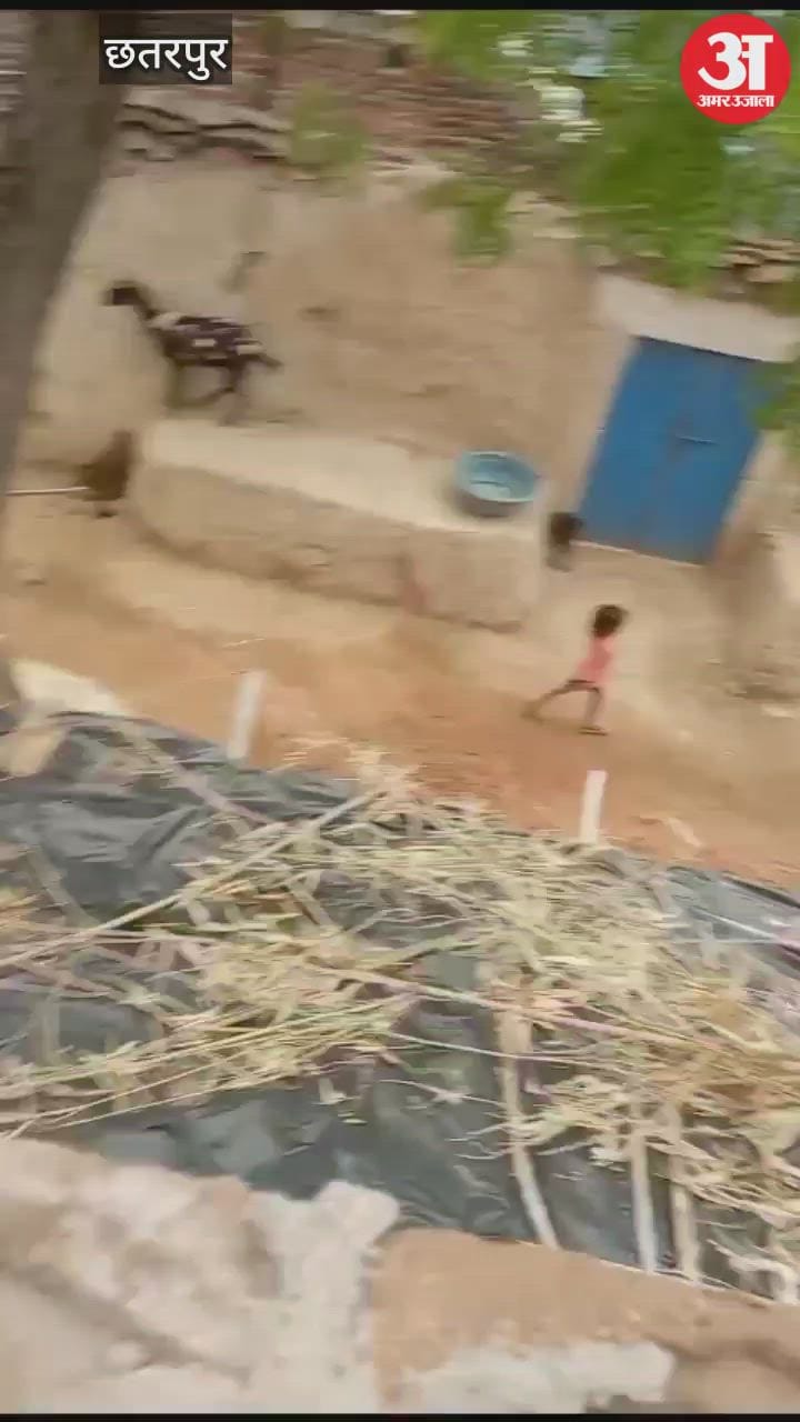 The husband was shot and the wife was kidnapped in public; video of the incident surfaced